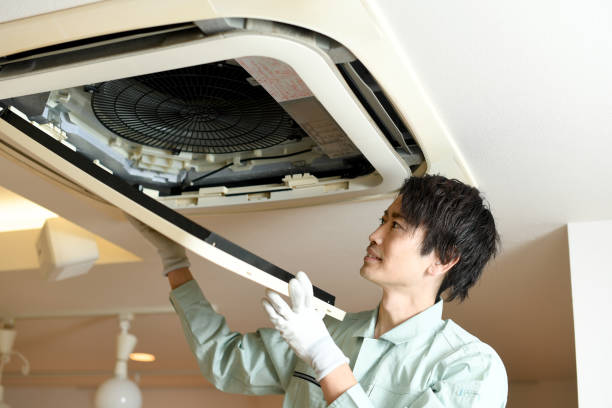 Best Air Vent Cleaning Services  in Royalton, IL