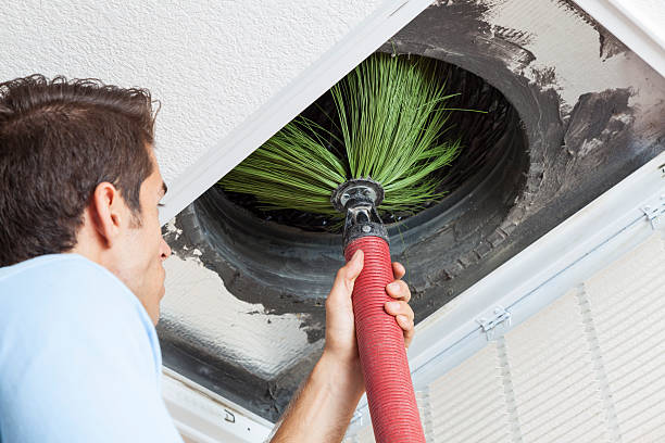 Best Ventilation Cleaning Services  in Royalton, IL
