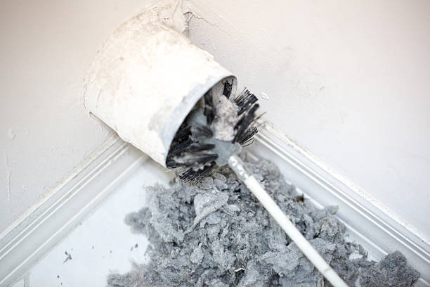 Best Air Duct Cleaning Company Near Me  in Royalton, IL