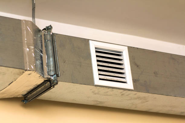 Best Ventilation Cleaning Services  in Royalton, IL