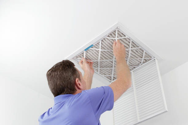Best HVAC Duct Inspection Services  in Royalton, IL